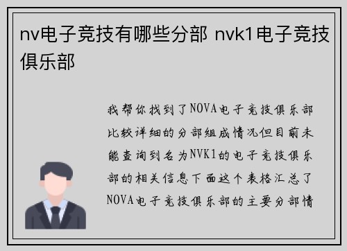 nv电子竞技有哪些分部 nvk1电子竞技俱乐部